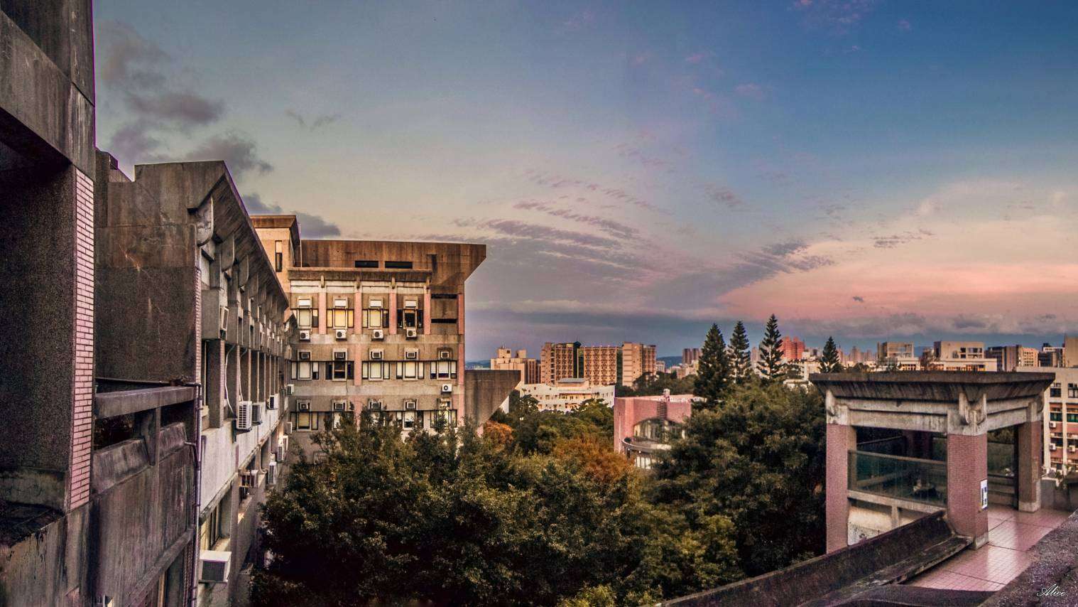 DFLL & College of Humanities and Social Science